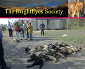 BrightEyes Society