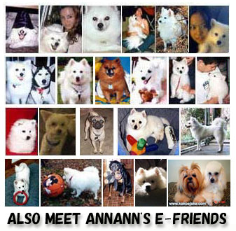 ANNANN's E-Friends