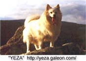 Image of
Yeza