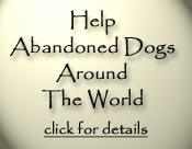 Help Abandoned Dogs Around The World