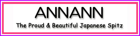 ANNANN the Proud & Beautiful JS