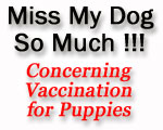 Vaccination for Pups